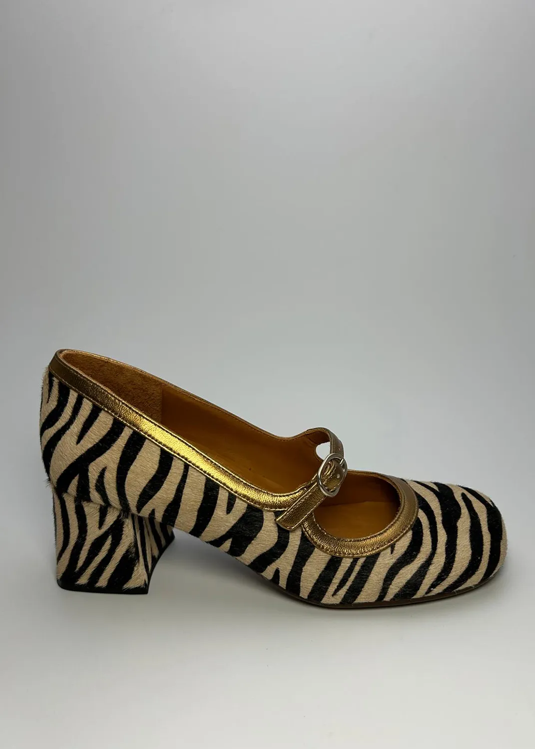 Immagine dell articolo