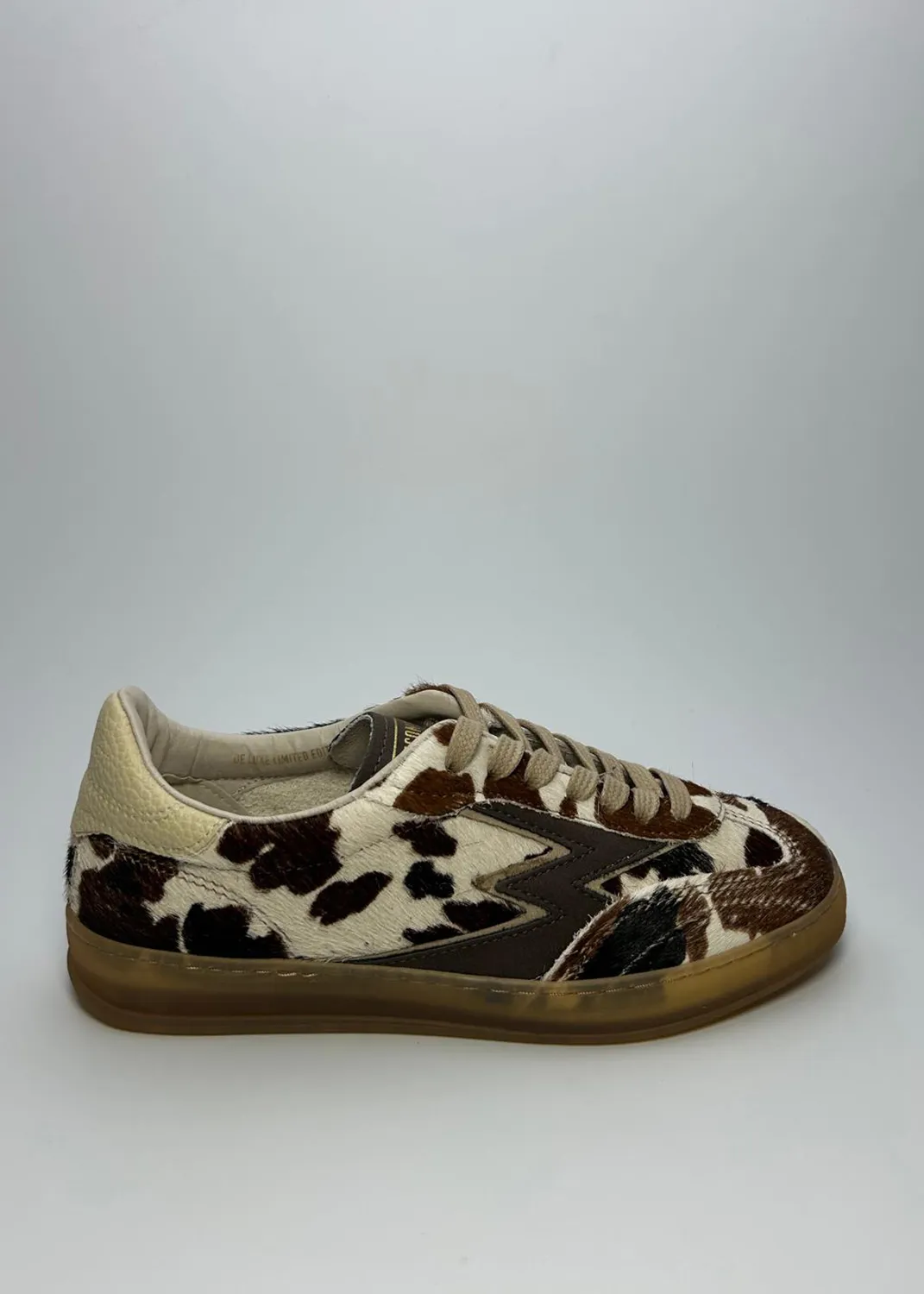 Immagine dell articolo