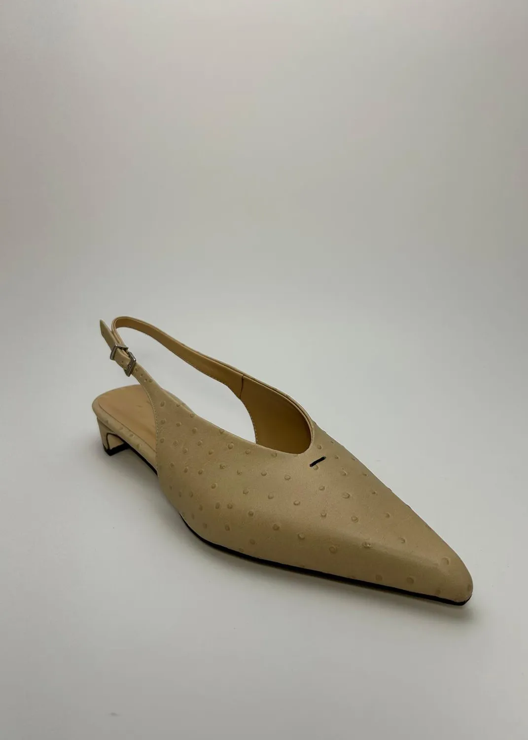 Immagine del retro dell articolo