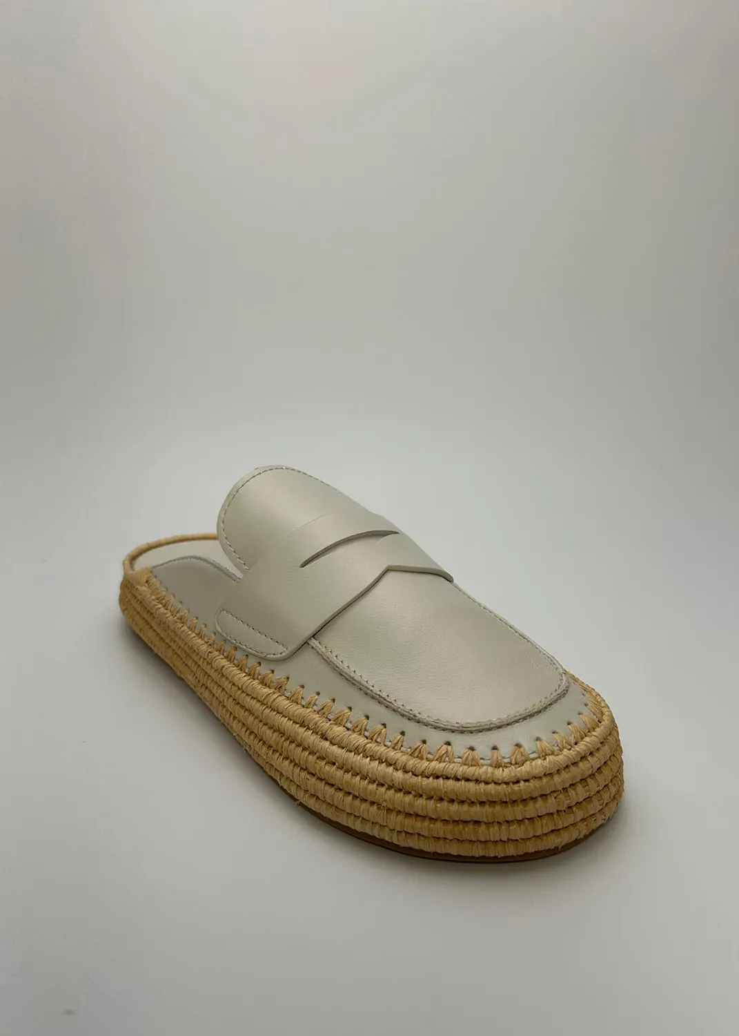 Immagine del retro dell articolo