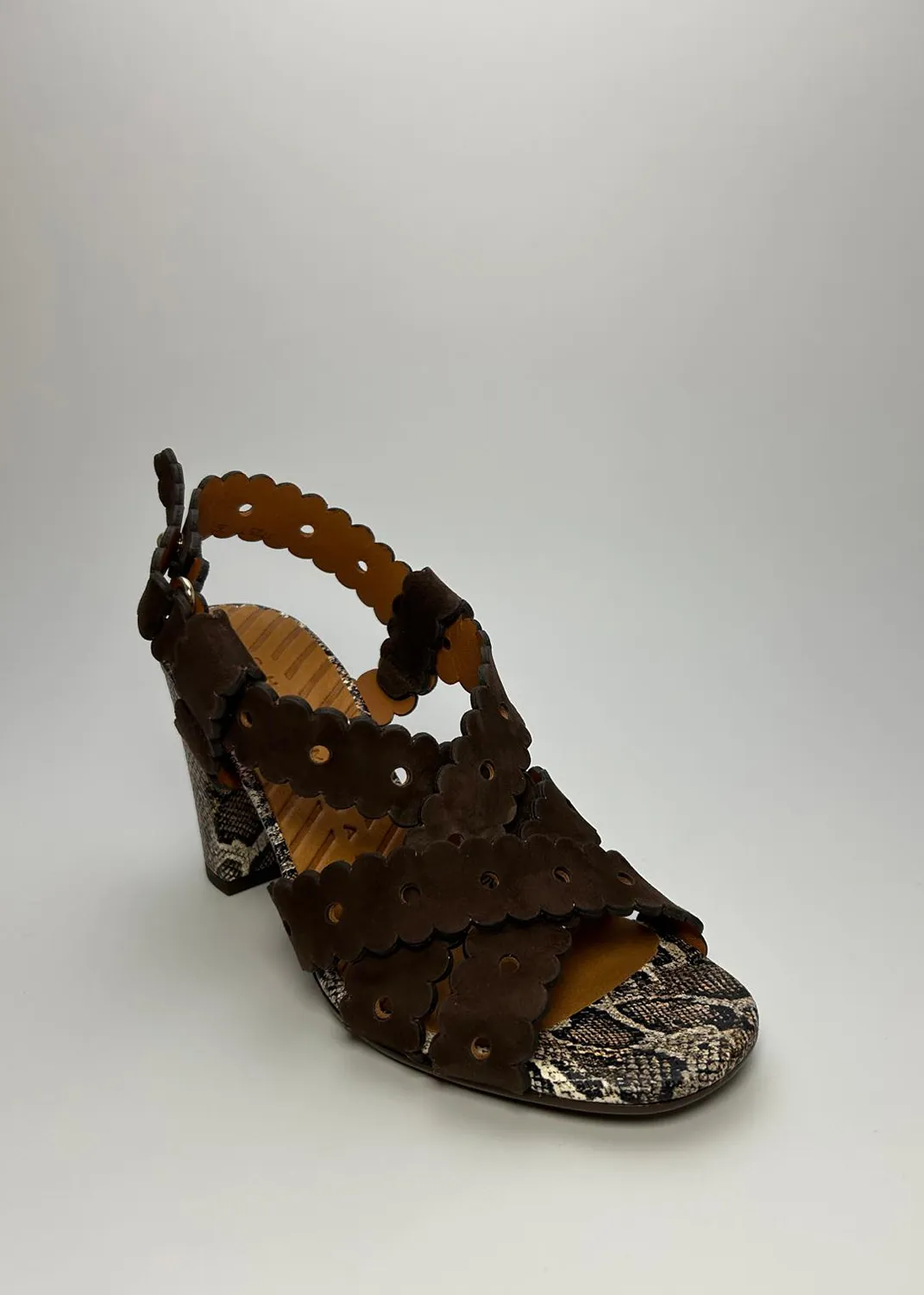 Immagine del retro dell articolo